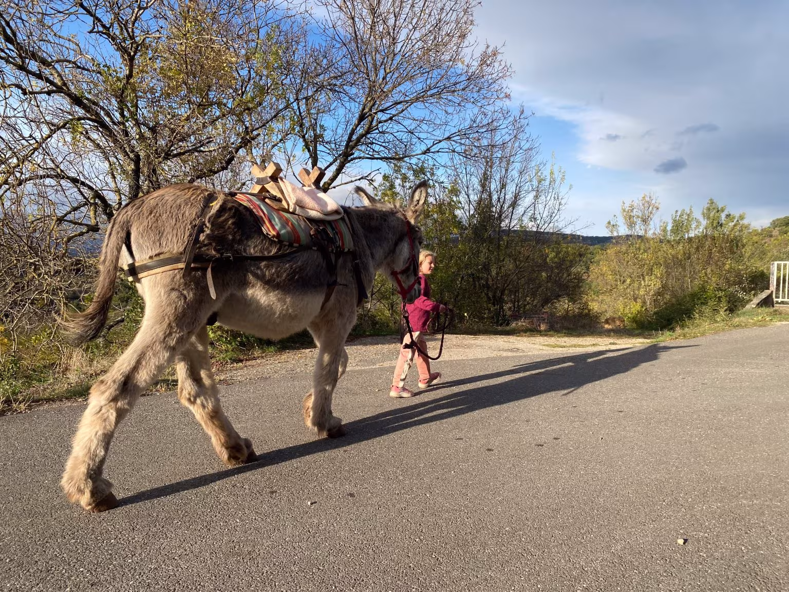 Randonner avec un âne dans l'hérault 34