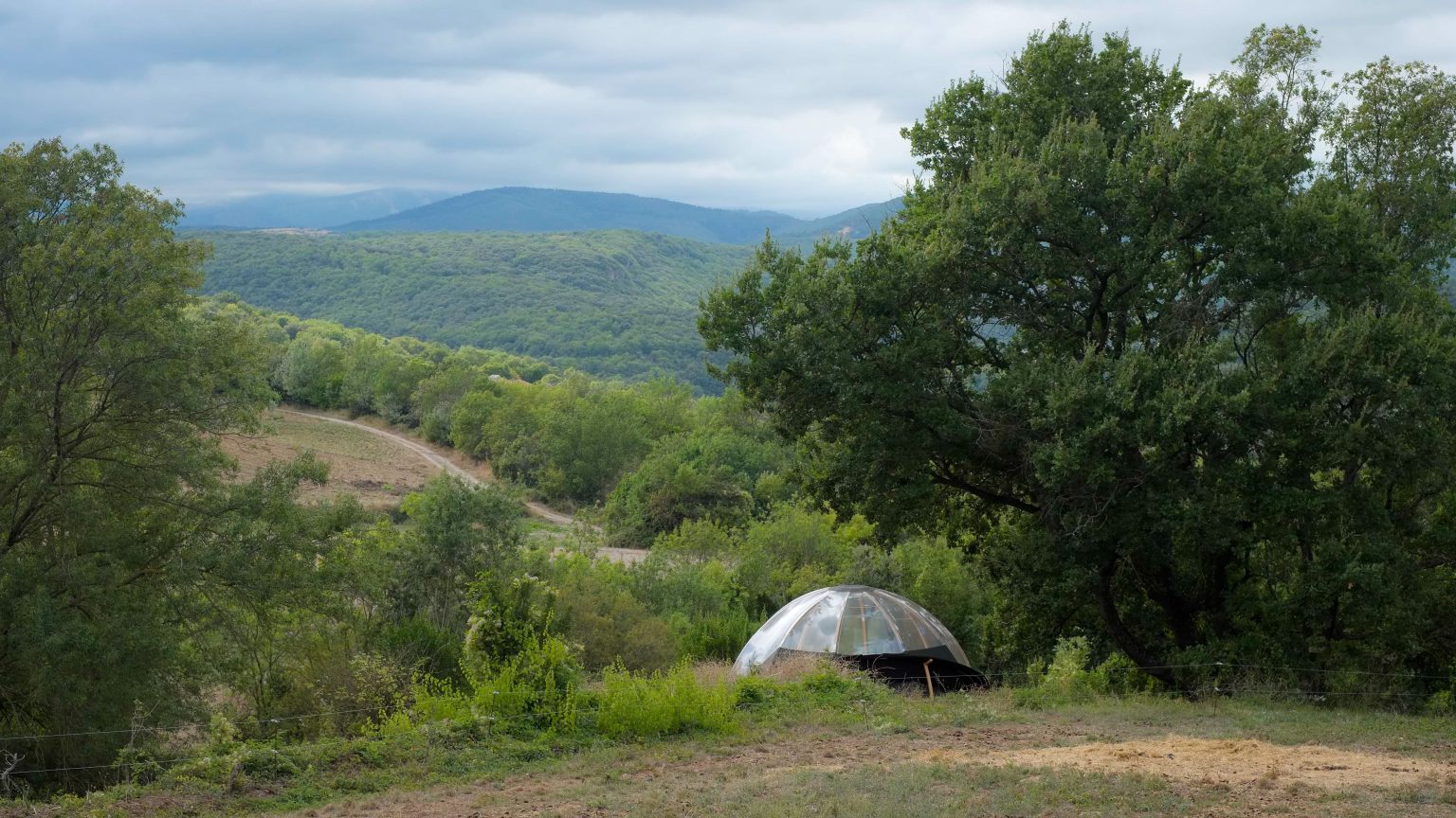 Séjour hébergement belle étoile salagou hérault - Bulle chêne